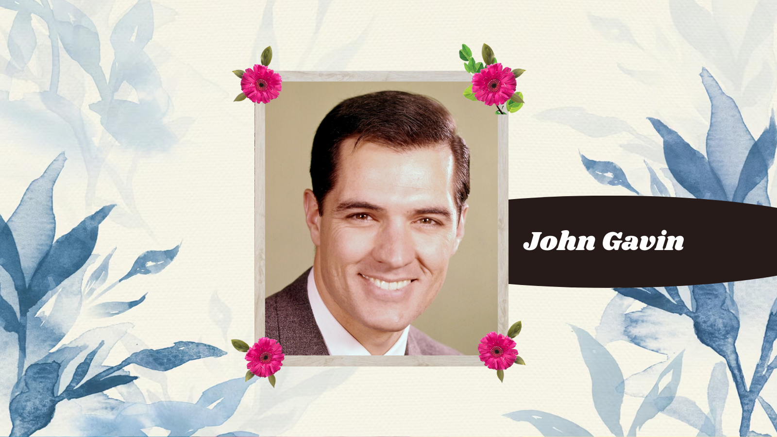 John Gavin Net Worth 2024: From Hollywood To Diplomatic Heights