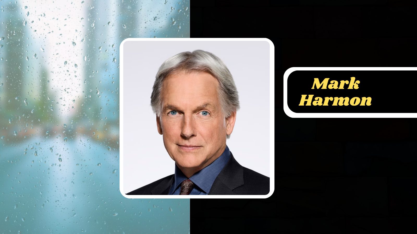 Mark Harmon Net Worth 2024 Beyond NCIS Stardom